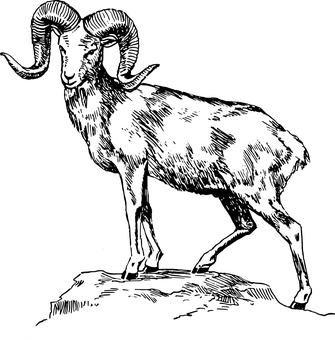 Black_ Screen_with_ No_ Visible_ Content.jpg PNG with transparent background