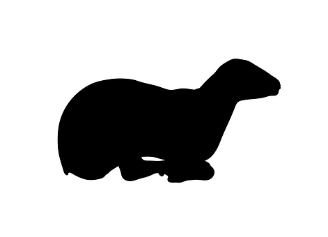 Black Sheep Silhouette PNG with transparent background