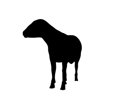 Black Sheep Silhouette PNG with transparent background