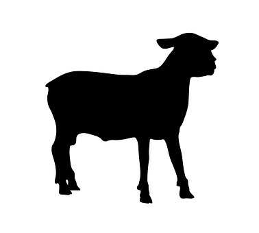 Black Sheep Silhouette