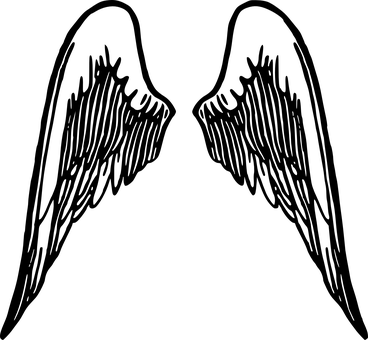 Black Silhouette Angel Wings PNG with transparent background