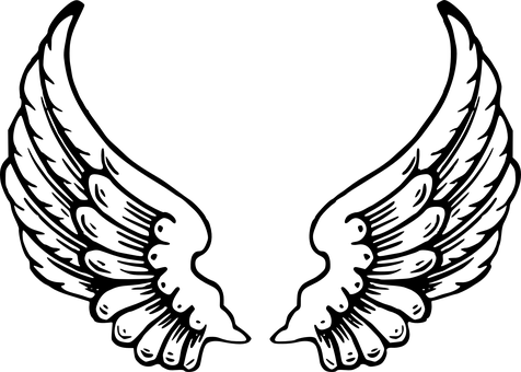 Black Silhouette Angel Wings PNG with transparent background