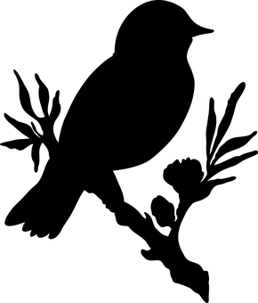 Black Silhouette Bird Perched PNG with transparent background