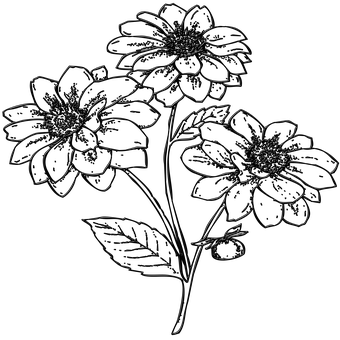 Black Silhouette Flowers