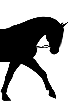 Black Silhouette Horse Profile PNG with transparent background