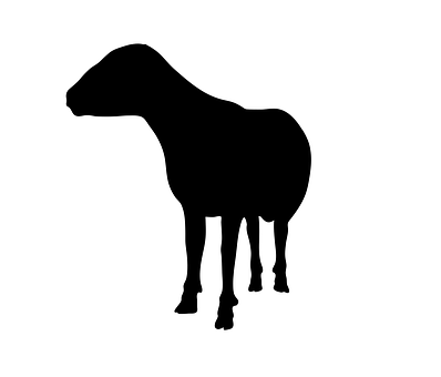 Black Silhouetteof Sheep