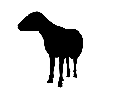 Black Silhouetteof Sheep PNG with transparent background