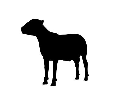 Black Silhouetteof Standing Sheep PNG with transparent background