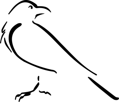 Black Silhouetteon Blank Background PNG with transparent background