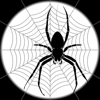 Black Spideron Web Graphic PNG with transparent background