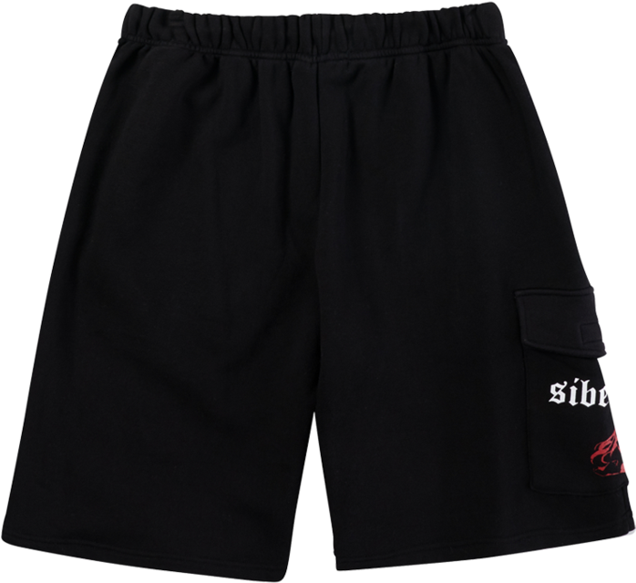 Black Sports Shortswith Logo