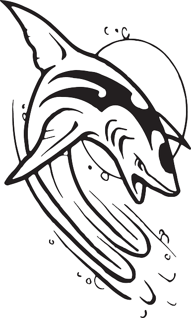 Black, Sun, White, Shark, Jumping, Waves, Wave - Black And White Shark Logo Vector PNG with transparent background