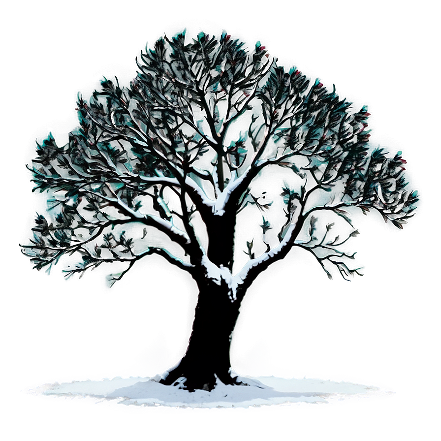 Black Tree Silhouette Png Clo81