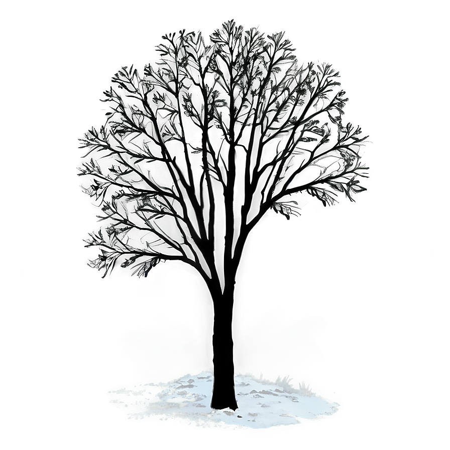 Black Trees Aesthetic Png Vty