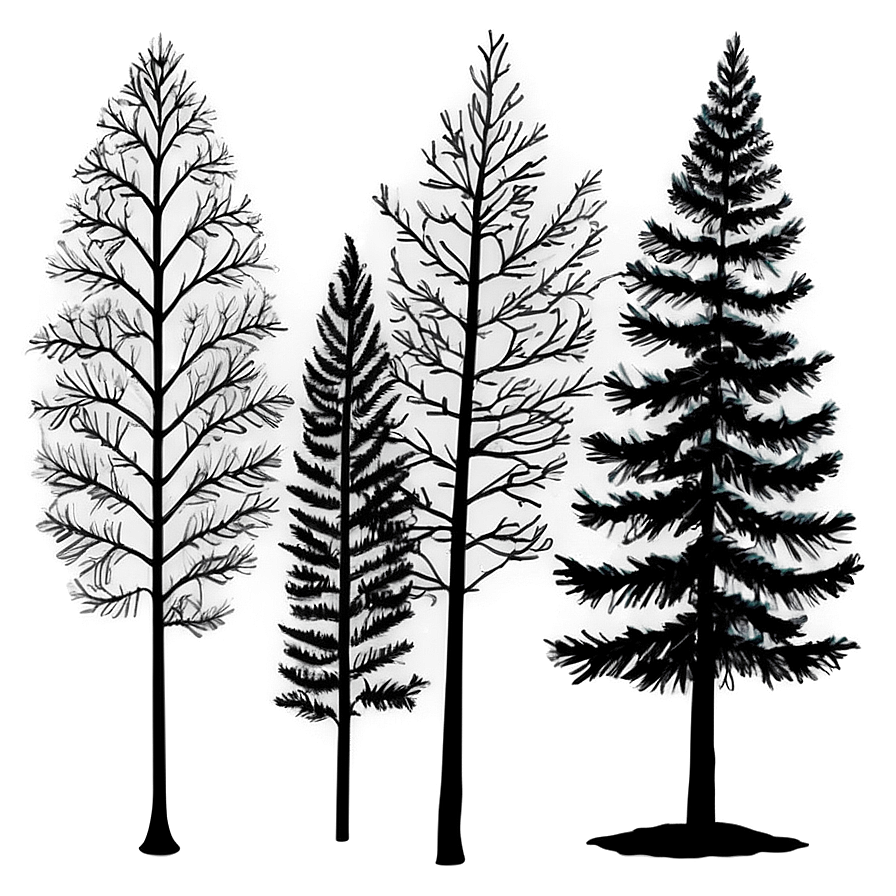 Black Trees Aesthetic Png Xlj74