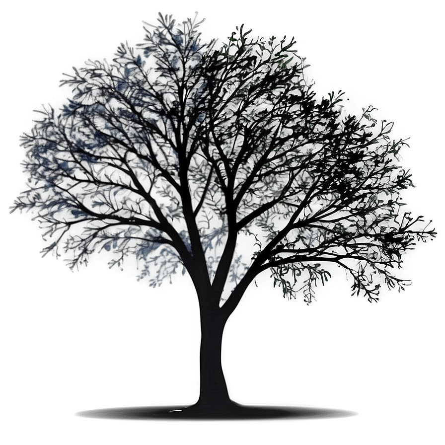 Black Trees Shadow Png Hqv