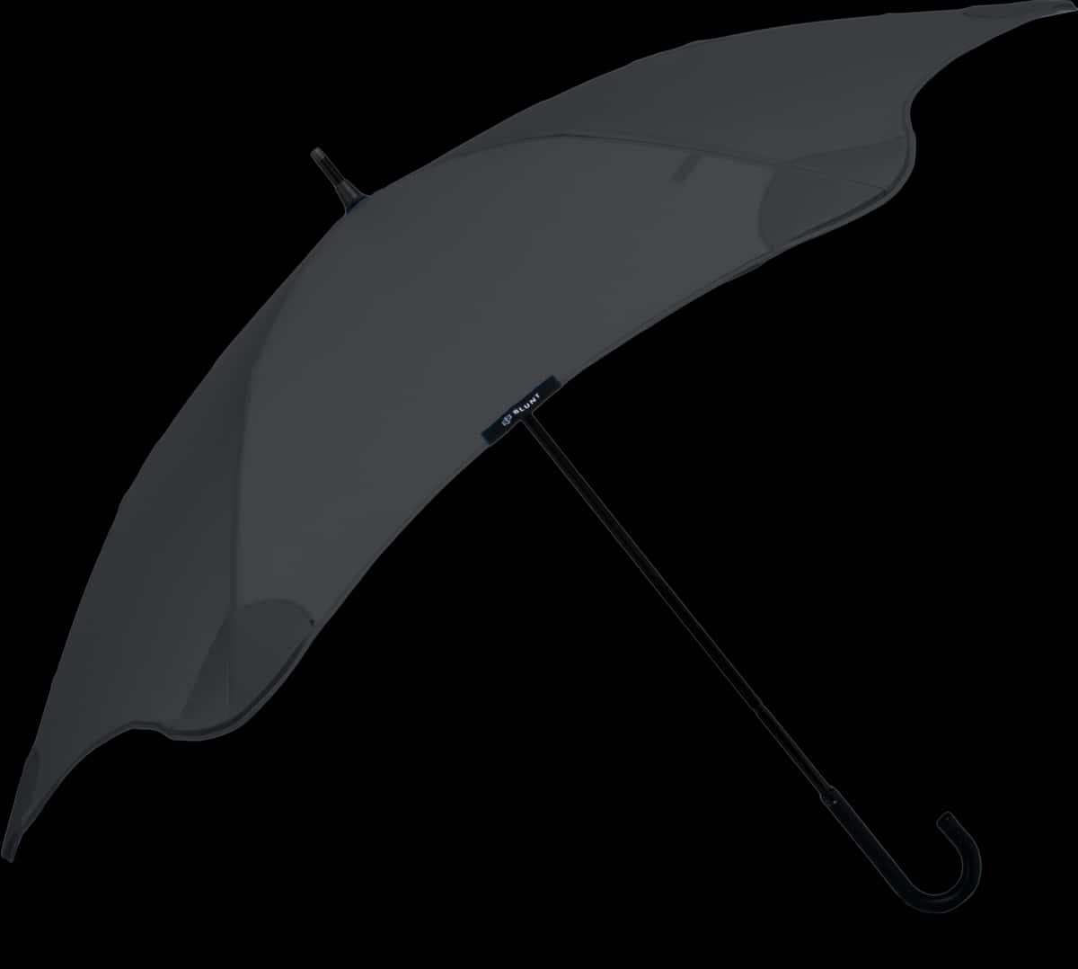 Blunt Umbrellas Curved Handle, HD Png Download PNG with transparent background