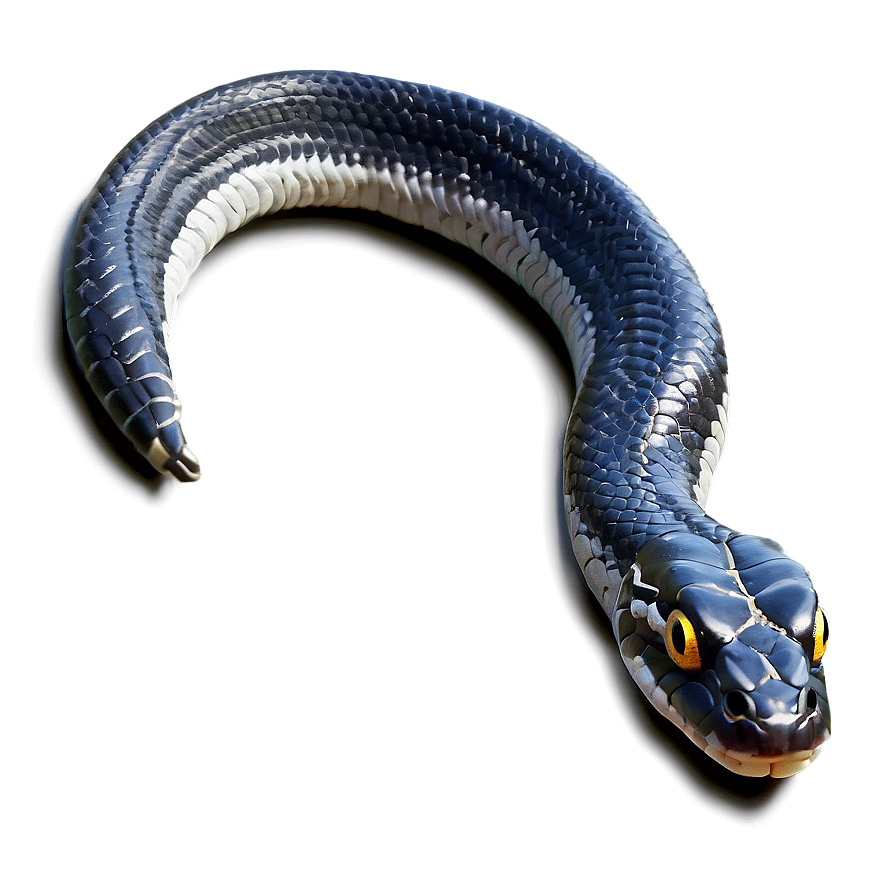 Black Viper Snake Illustration Png Cln98