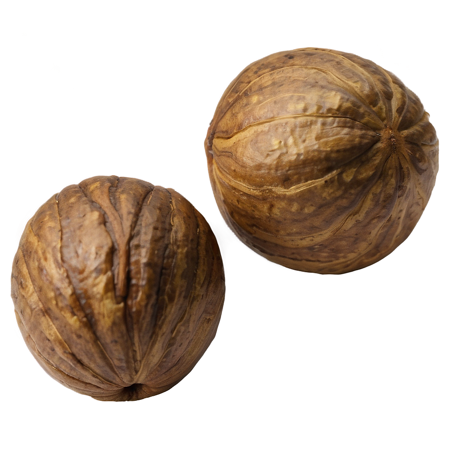 Black Walnut Nut Png Imj4