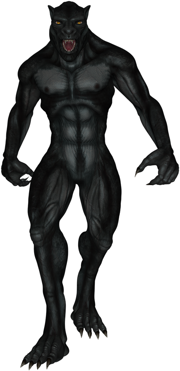 Werewolf, Fantasy, Wolf, Monster, Creature, Horror - Weerwolf Png, Transparent Png PNG with transparent background