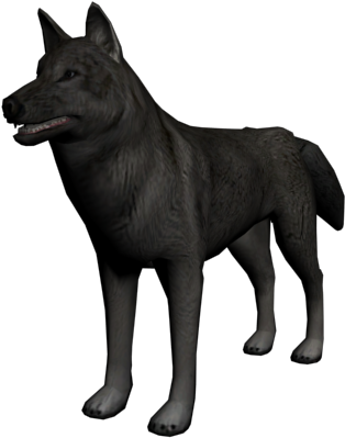 Black Wolf3 D Model Standing