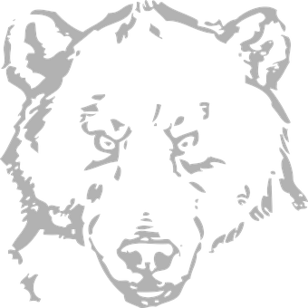 Blackand White Bear Graphic