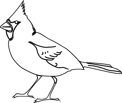 Blackand White Bird Illustration