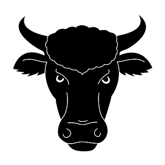 Blackand White Bull Graphic