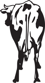 Blackand White Cow Silhouette