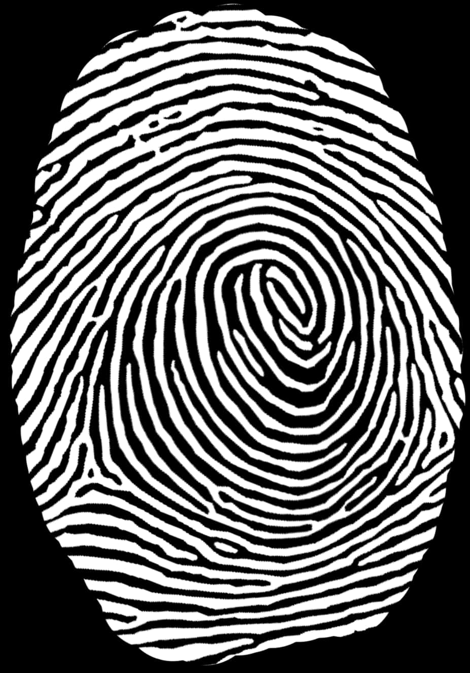 Blackand White Fingerprint Pattern PNG with transparent background