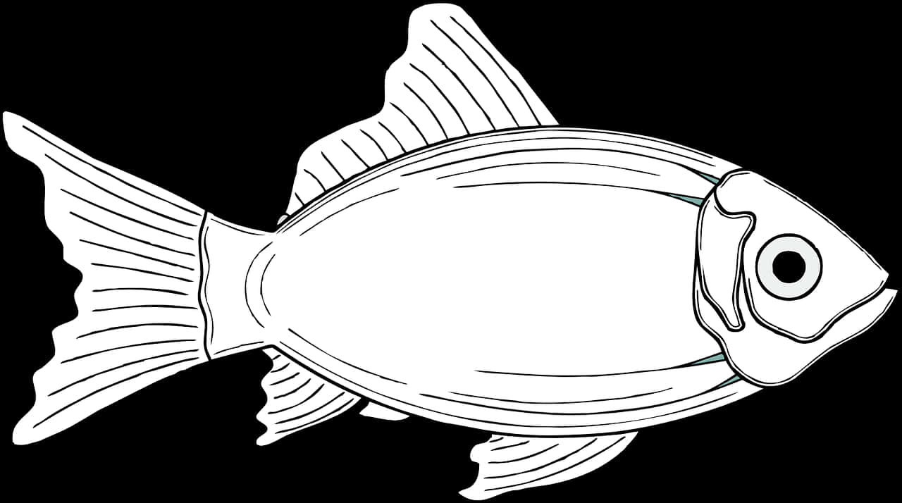 Transparent Fish Fins Png - Gambar Ikan Laut Animasi, Png Download PNG image with a transparent background, free high-resolution download