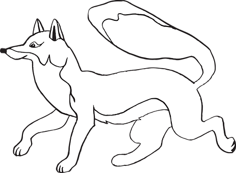 Blackand White Fox Illustration PNG with transparent background