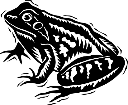 Blackand White Frog Illustration PNG with transparent background