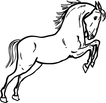 Blackand White Horse Silhouette