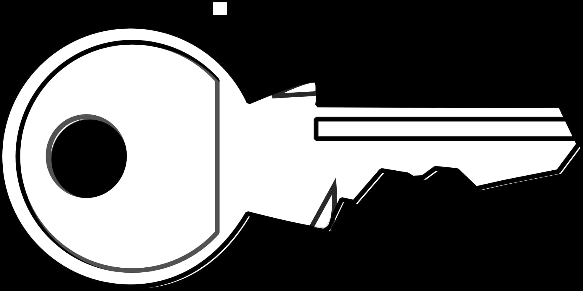 Blackand White Key Graphic