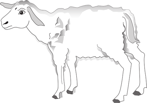 Blackand White Lamb Illustration 486x340 PNG image with a transparent background, free high-resolution download