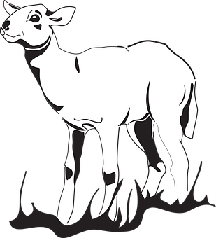 Blackand White Lamb Illustration PNG with transparent background
