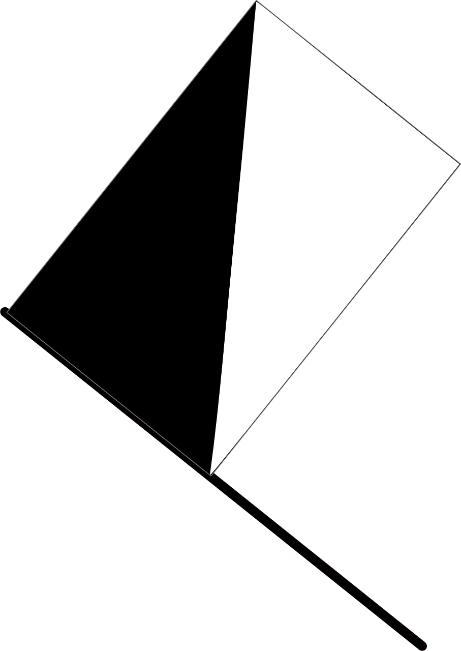 Blackand White Pennant Flag