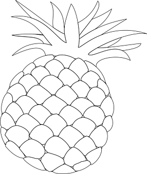 Blackand White Pineapple Drawing PNG with transparent background
