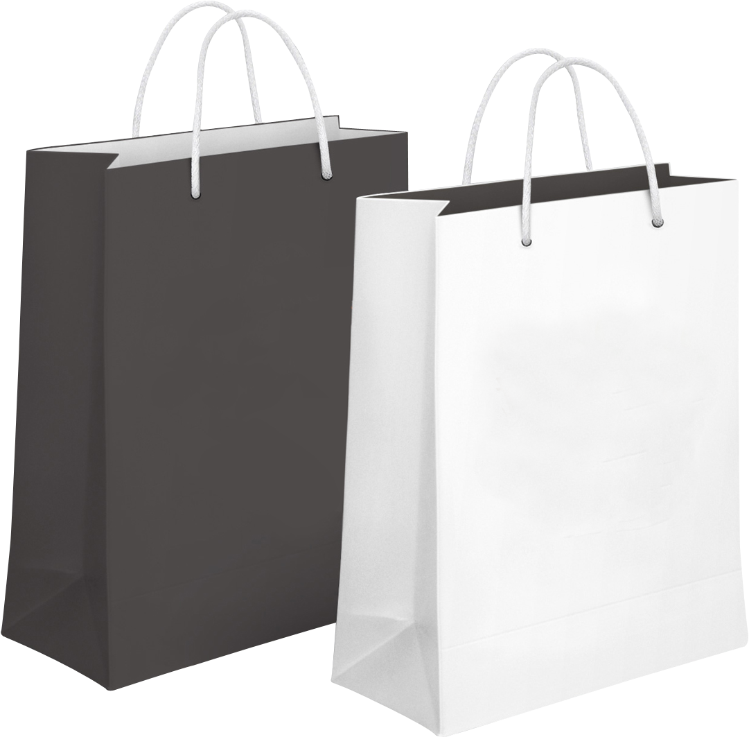 Shopping Bag Png Transparent Image - Paper Shopping Bag Png, Png Download PNG image with a transparent background, free high-resolution download