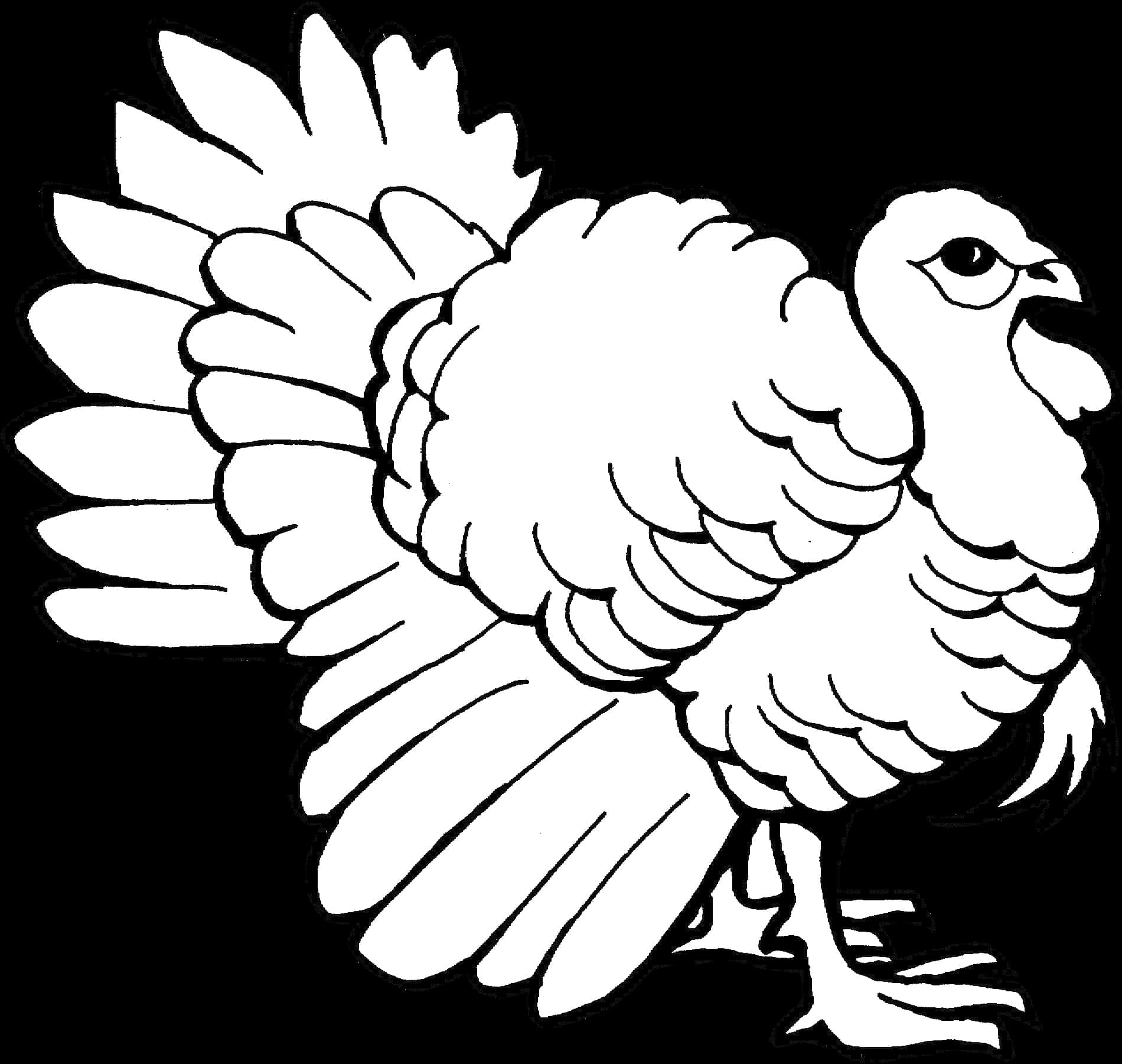 Blackand White Turkey Illustration