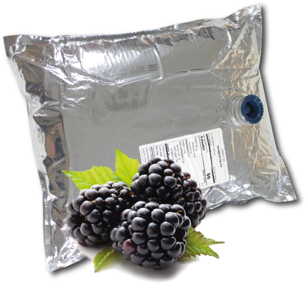 11 Lb Blackberry Aseptic Fruit Puree Box - Health Benefits For Blackberry, HD Png Download PNG with transparent background