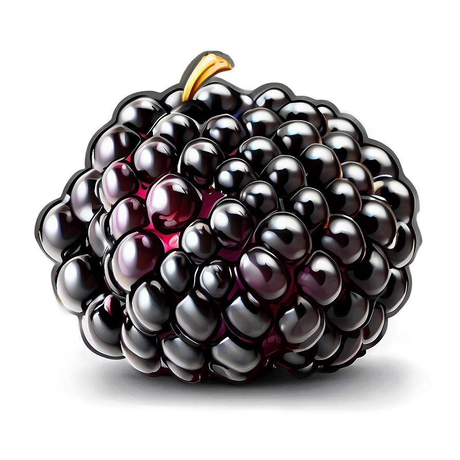 Blackberry Delight Png 34