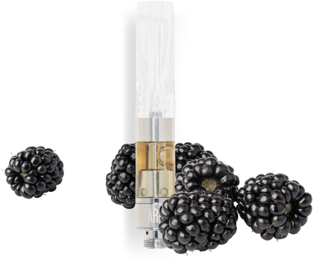 Blackberry, HD Png Download PNG with transparent background