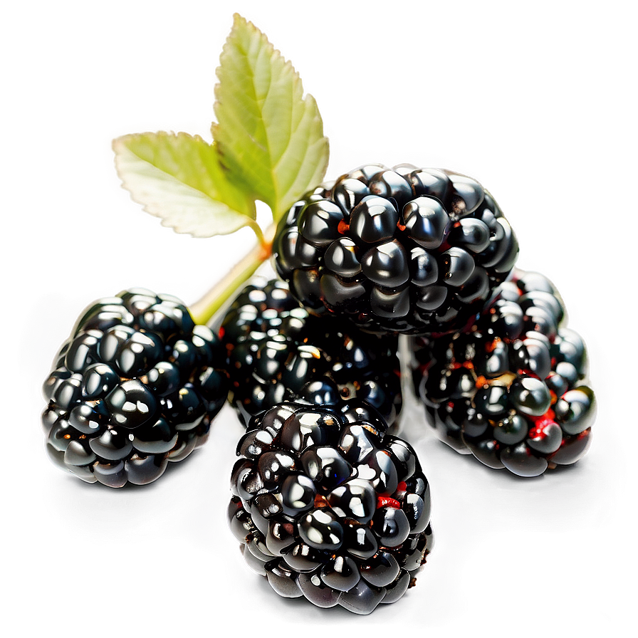 Blackberry Recipe Png 81