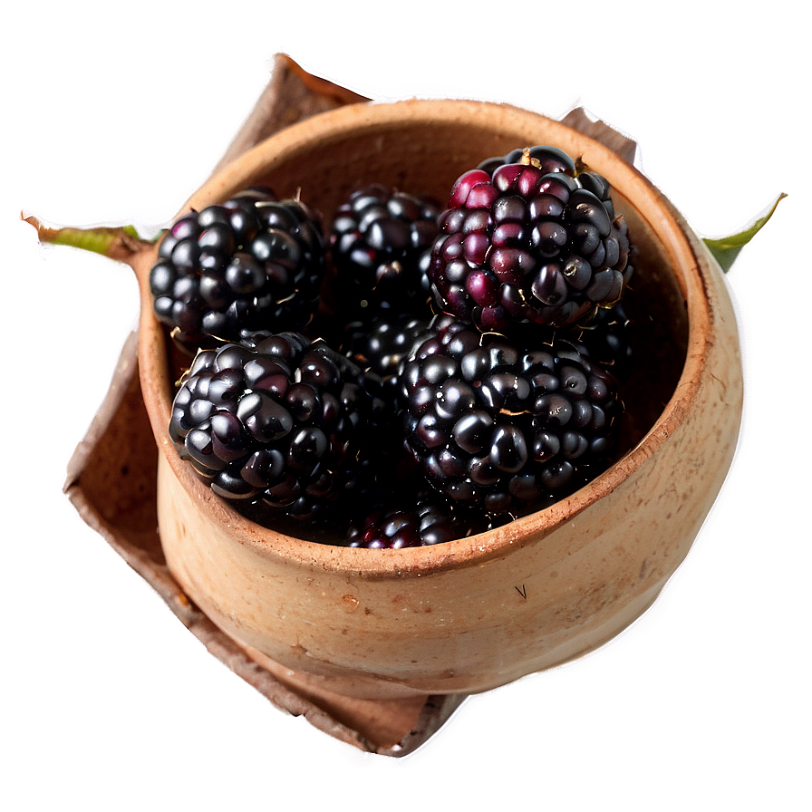 Blackberry Season Png Dro88