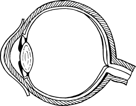 Blank Black Canvas PNG with transparent background