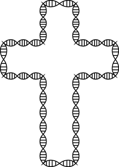 Blank Black Image PNG image with a transparent background, free high-resolution download
