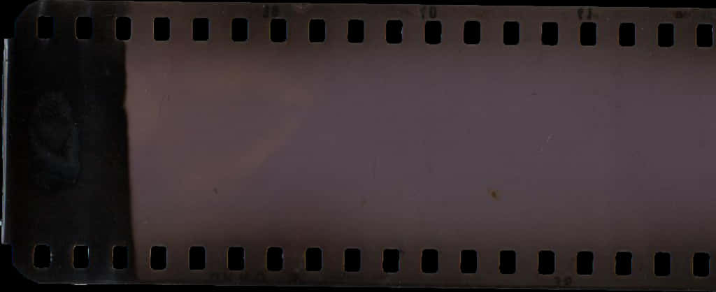 Blank Film Strip Texture