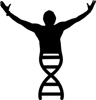Blank Image Placeholder PNG image with a transparent background, free high-resolution download